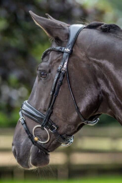 LeMieux Kudos Patent Dressage Bridle -Marys Tack and Feed Store kudos patent snaffle blk blk side lifestyle IT03552 lemieux 99897.1721447136