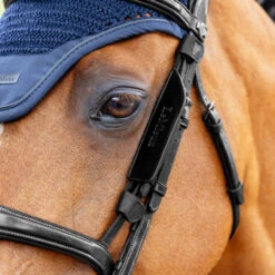 LeMieux Leather Bridle Blinkers -Marys Tack and Feed Store leather blinkers black lifestyle IT06938007 lemieux 07599.1751576855