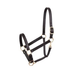 Perri's 1-Inch Leather Turnout Halter