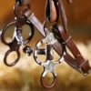 Mikmar Legacy Clover Bit -Marys Tack and Feed Store legacy clover bit on headstall LEG300 mikmar 77933.1581617900