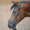 Kavalkade Levana Drop Noseband Bridle -Marys Tack and Feed Store levana drop noseband bridle black kavalkade 19037 68336.1555698675