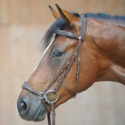 Kavalkade Levana Drop Noseband Bridle -Marys Tack and Feed Store levana drop noseband bridle brown kavalkade 19037 65931.1555698671