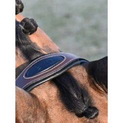 Jump'In Liberty Bridle -Marys Tack and Feed Store liberty bridle hazelnut crown jump in 14380.1734635677