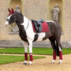 LeMieux Loire Classic Dressage Pad AW24 -Marys Tack and Feed Store lm loire drsg pad au24 ember lifstyle pad bonnet IT05262 lemieux 67385.1725989190