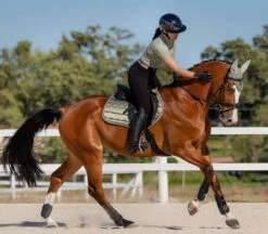 LeMieux Loire Ear Bonnet SS24 -Marys Tack and Feed Store loire cc pad ss24 fern horse IT04096 lemieux 11293.1712844886