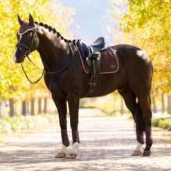 LeMieux Loire Classic Dressage Square Pad AW25 -Marys Tack and Feed Store loire drsg classic pad au25 damson lifestyle IT007099 lemieux 20117.1755643099