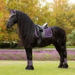 LeMieux Loire Classic Dressage Square Pad AW25 -Marys Tack and Feed Store loire drsg classic pad au25 juniper lifestyle IT007097 lemieux 43009.1755643099