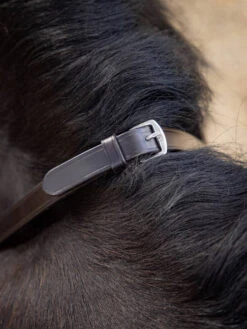 LeMieux Magna Grip Rubber Reins -Marys Tack and Feed Store magna grip rubber rein havana silver buckle IT04855 lemieux 91297.1721445605