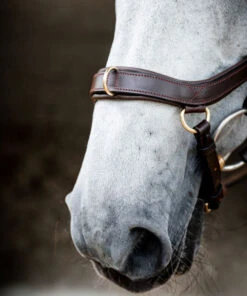 Horseware Ireland Horseware Micklem 2 Multi Bridle -Marys Tack and Feed Store micklem 2 multi bridle havana nose ring sbmxm0 nab0 HW 46126.1689871562