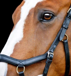 Horseware Ireland Horseware Micklem 2 Competition Bridle -Marys Tack and Feed Store micklem2 competition bridle black cheeckpiece SBMOM2 K000 SC horseware ireland 98680.1689872525
