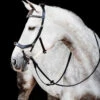 Horseware Ireland Horseware Micklem 2 Multi Bridle