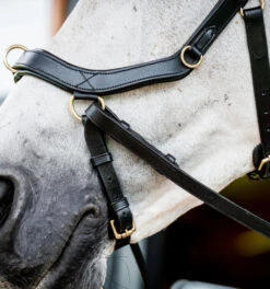 Horseware Ireland Horseware Micklem 2 Multi Bridle -Marys Tack and Feed Store micklem2 multibridle black noseband SBMXM1 K000 LC HW 99249.1689871620