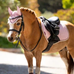 LeMieux Mini Ear Bonnet SS25 -Marys Tack and Feed Store mini fly hood s25 blossom lifestyle IT06735003 lemieux 06138.1739992431