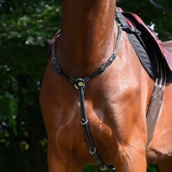 Jump'In Monday Breastplate -Marys Tack and Feed Store monday breastplate black jumpin 16838.1736204381
