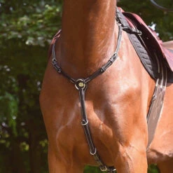 Jump'In Monday Breastplate -Marys Tack and Feed Store monday breastplate burgundy week jumpin 27892.1736204382
