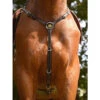 Jump'In Monday Breastplate -Marys Tack and Feed Store monday breastplate havana jumpin 91923.1736204382