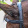 Vespucci New Classic Dressage Bridle