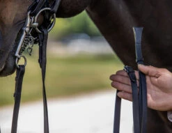 Vespucci New Double Raised Weymouth Bridle