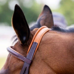 Vespucci New Fancy Raised Hunter Bridle -Marys Tack and Feed Store new fancy hunter bridle oakbark crown 810434N vespucci 78267.1712845186
