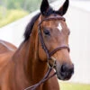 Vespucci New Fancy Raised Hunter Bridle -Marys Tack and Feed Store new fancy hunter bridle oakbark front 810434N vespucci 36129.1712845186