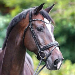 Kavalkade Ocean Snaffle Bridle 10 Kavalkade Ocean Snaffle Bridle -Marys Tack and Feed Store ocean snaffle bridle black navy horse 191 76 blk nvy kavalkade 91430.1680814489