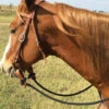 Martin Saddlery 1/2" Braided Reins + Slobber Straps -Marys Tack and Feed Store phreinbraidedrein 80171 30124.1527292259
