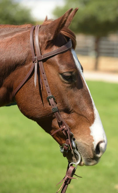 Weaver Leather Weaver Plains Indian Slim Brow Headstall 4 Weaver Leather Weaver Plains Indian Slim Brow Headstall - Image 2
