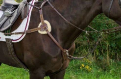 Henri De Rivel Pro 5-Point Elastic Breastplate 7 Henri De Rivel Pro 5-Point Elastic Breastplate -Marys Tack and Feed Store pro 5 point elastic breastplate australian nut horse 5098 08 hdr 83155.1672253974