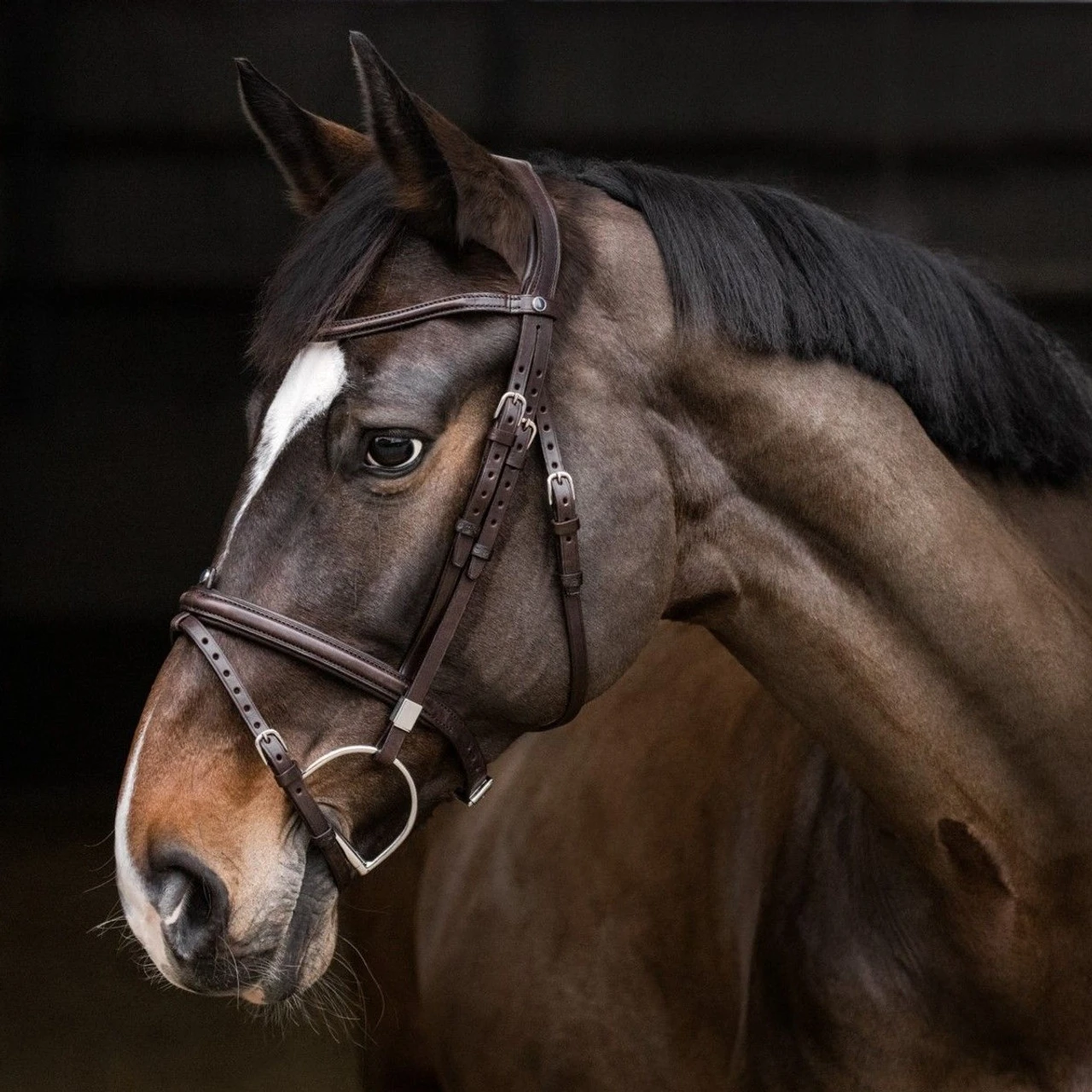 Stübben Pro-Jump Bridle RFS 5 Stübben Pro-Jump Bridle RFS - Image 3