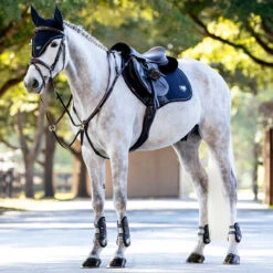 LeMieux Puissance Suede CC Pad SU25 -Marys Tack and Feed Store puissance suede cc pad su25 navy on horse IT06350005 lemieux 37222.1751581611