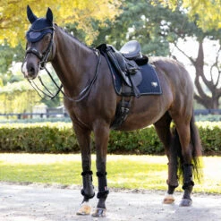 LeMieux Puissance Suede Dressage Pad SU25 -Marys Tack and Feed Store puissance suede drsg pad su25 navy on horse IT06351005 lemieux 98703.1751582642