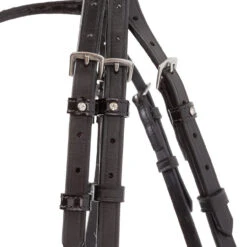 Kavalkade Reyna Snaffle Bridle -Marys Tack and Feed Store reyna snaffle bridle black cheekpiece buckle 19044 kavalkade 17146.1733935403