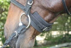 RideWell Chin & Crown Guard