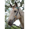 Circle Y Rising Sunflower Brow Headstall -Marys Tack and Feed Store rising sunflower brow hs brown multicolor lifestyle 1002 10 SC circle y 38157.1613178603
