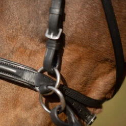 Equinavia Saga Bitless Bridle 9 Equinavia Saga Bitless Bridle -Marys Tack and Feed Store saga bitless bridle black detail1 E10017 BL equinavia 12072.1727314780