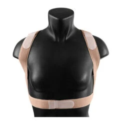ShouldersBack Lite In Beige 7 ShouldersBack Lite In Beige -Marys Tack and Feed Store shoulders back beige front equifit 47937.1658343976