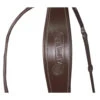 Signature By Antarès Flash Bridle -Marys Tack and Feed Store signature flash bridle brown headband SIGOB BRD1 antares 44409.1644011054