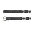 Equinavia Siri Polo Belt 1 Equinavia Siri Polo Belt -Marys Tack and Feed Store siri polo belt blk grey hero E31002 BL GY equinavia 26164.1745945688