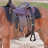 Cashel Step Up Stirrup 1 Cashel Step Up Stirrup -Marys Tack and Feed Store step up stirrup black saddle SOS chasel 67097.1674772523