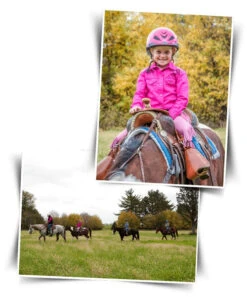 BOOMA Rein Safety Rein -Marys Tack and Feed Store story 18086 04407.1527296824