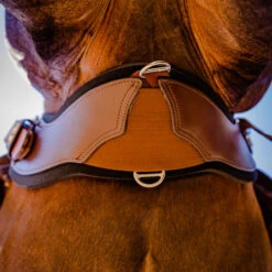 StretchTec Shoulder Relief Cinch 11 StretchTec Shoulder Relief Cinch -Marys Tack and Feed Store stretchtec shoulder relief cinch brown on horse ST SRC 28 BRN BLN total saddle fit 28912.1634504248