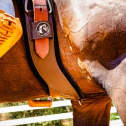 StretchTec Shoulder Relief Cinch 13 StretchTec Shoulder Relief Cinch -Marys Tack and Feed Store stretchtec shoulder relief cinch brown side on horse ST SRC 28 BRN BLN total saddle fit 35099.1634504243