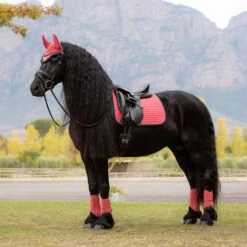 LeMieux Suede Dressage Square Pad AW25 17 LeMieux Suede Dressage Square Pad AW25 -Marys Tack and Feed Store suede drsg pad au25 cranberry lifestyle IT07093 lemieux 97148.1755640472