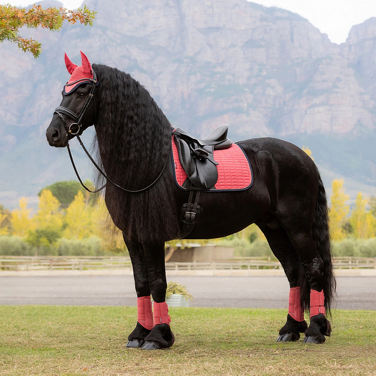 LeMieux Suede Dressage Square Pad AW25 9 LeMieux Suede Dressage Square Pad AW25 - Image 7