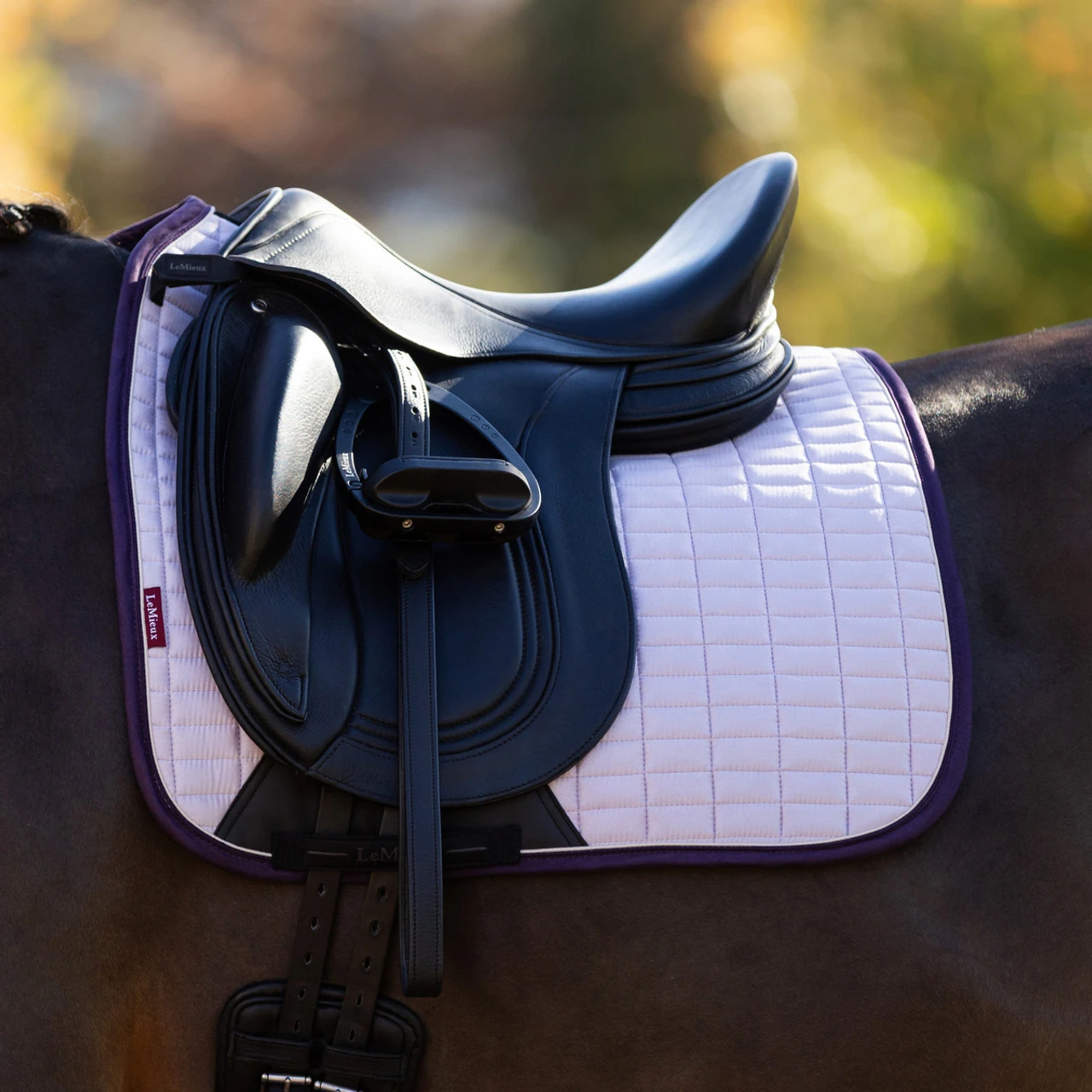 LeMieux Suede Dressage Square Pad AW25 8 LeMieux Suede Dressage Square Pad AW25 - Image 6
