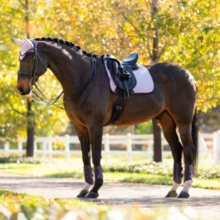 LeMieux Suede Dressage Square Pad AW25 18 LeMieux Suede Dressage Square Pad AW25 -Marys Tack and Feed Store suede drsg pad au25 lilac lifestyle IT07094 lemieux 58853.1755640472