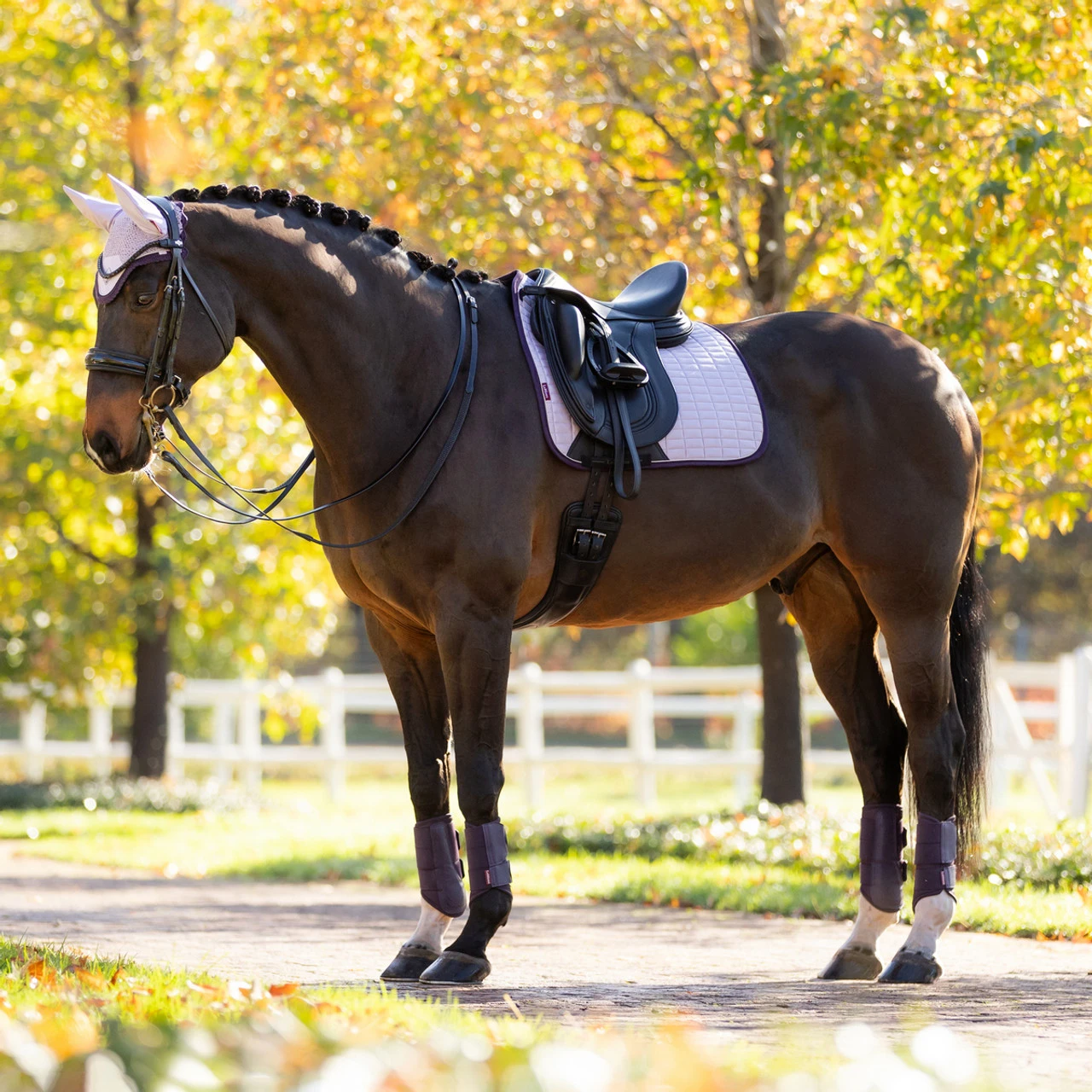 LeMieux Suede Dressage Square Pad AW25 10 LeMieux Suede Dressage Square Pad AW25 - Image 8