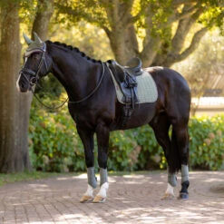 LeMieux Suede Dressage Square Pad AW25 19 LeMieux Suede Dressage Square Pad AW25 -Marys Tack and Feed Store suede drsg pad au25 rosemary lifestyle IT07092 lemieux 37555.1755640472