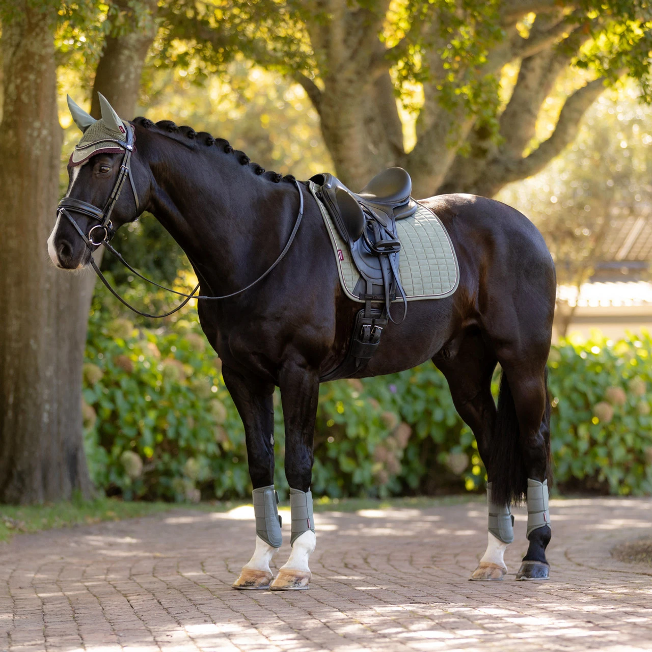LeMieux Suede Dressage Square Pad AW25 11 LeMieux Suede Dressage Square Pad AW25 - Image 9