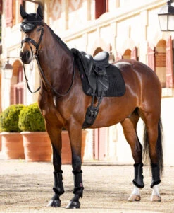 LeMieux Merino+ Half Lined Suede Dressage Pad -Marys Tack and Feed Store suede merino drsg black horse IT04876 lemieux 11271.1720899984